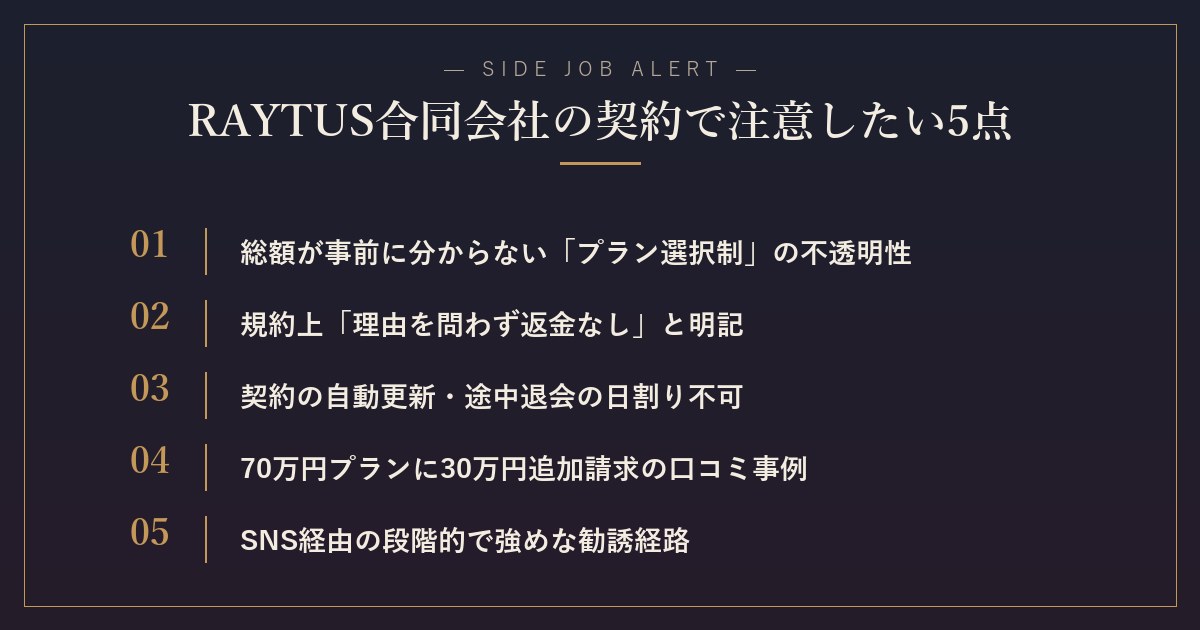 RAYTUS合同会社の契約で注意したい5点